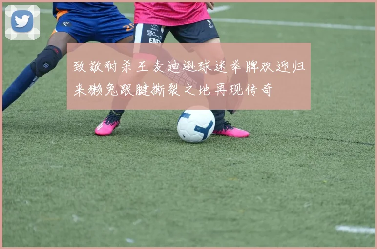致敬耐杀王麦迪逊球迷举牌欢迎归来獭兔跟腱撕裂之地再现传奇