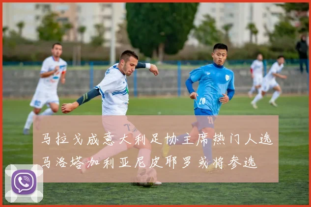马拉戈成意大利足协主席热门人选马洛塔加利亚尼皮耶罗或将参选